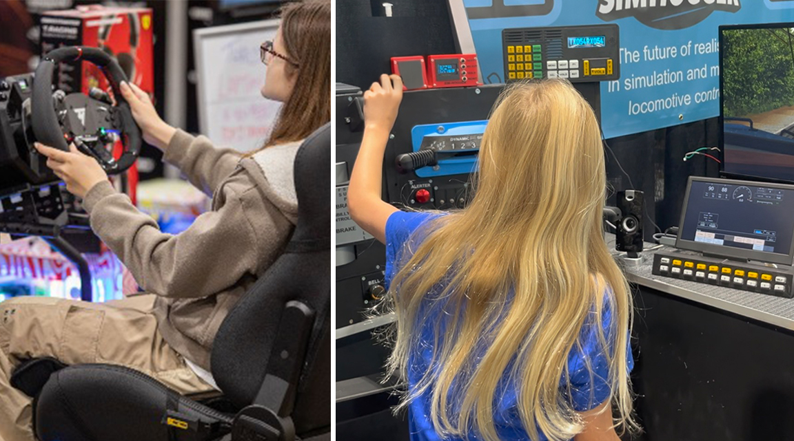 Other forms of simulation